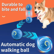 Balle Interactive Électronique pour Chiens et Chats USB