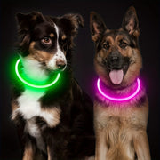 Collier Chien LED Lumineux Anti-Perte Rechargeable USB