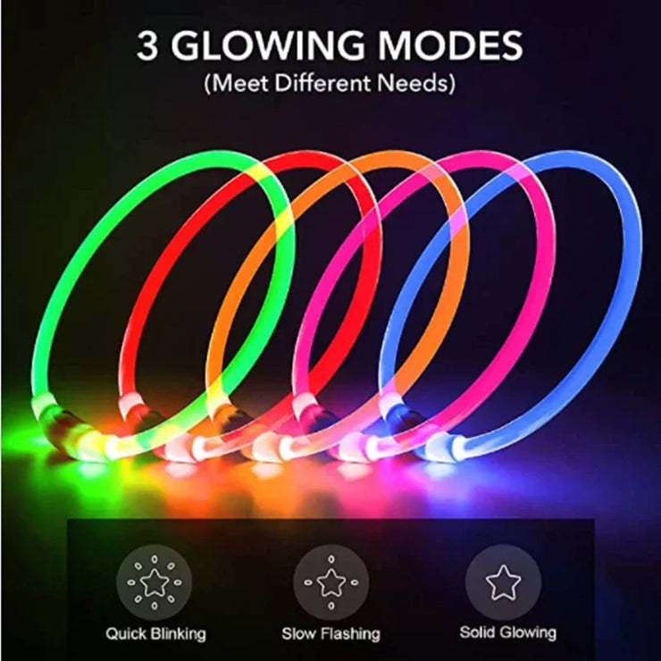 Collier Lumineux Chien LED Rechargeable USB