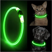 Collier Lumineux Chien LED Rechargeable USB