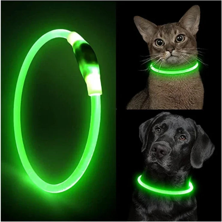 Collier Lumineux Chien LED Rechargeable USB