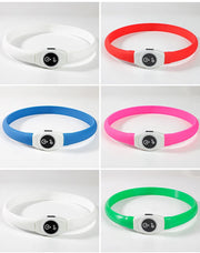 Collier LED Chien Étanche USB Lumineux Sécurité Nuit