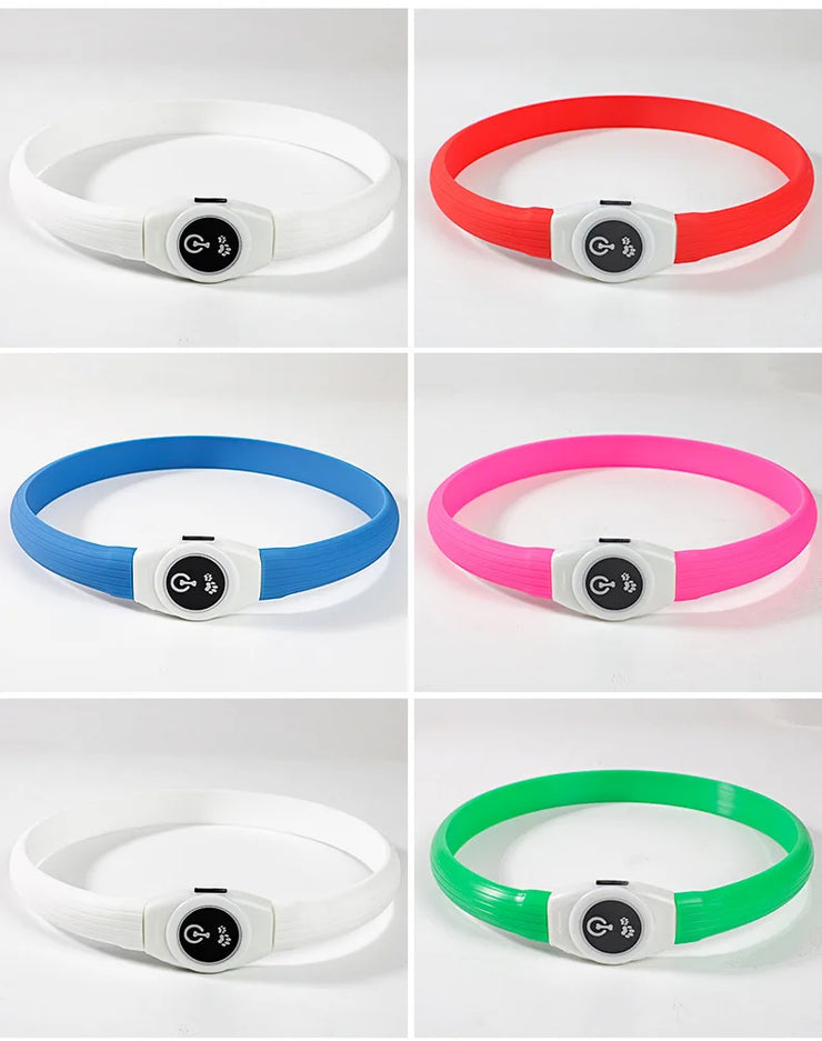 Collier LED Chien Étanche USB Lumineux Sécurité Nuit
