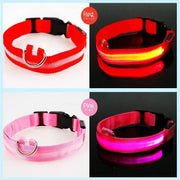 Collier Lumineux LED Chien Réglable Anti-Perte Nuit