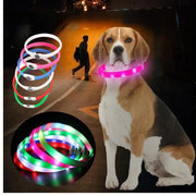 Collier LED Chien Étanche USB Lumineux Sécurité Nuit