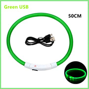 Collier Lumineux Chien LED Rechargeable USB