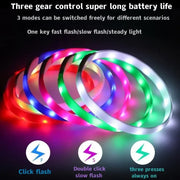 Collier LED Chien Étanche USB Lumineux Sécurité Nuit