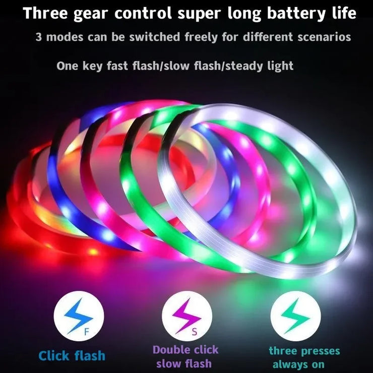 Collier LED Chien Étanche USB Lumineux Sécurité Nuit