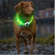 Collier LED Chien Étanche USB Lumineux Sécurité Nuit