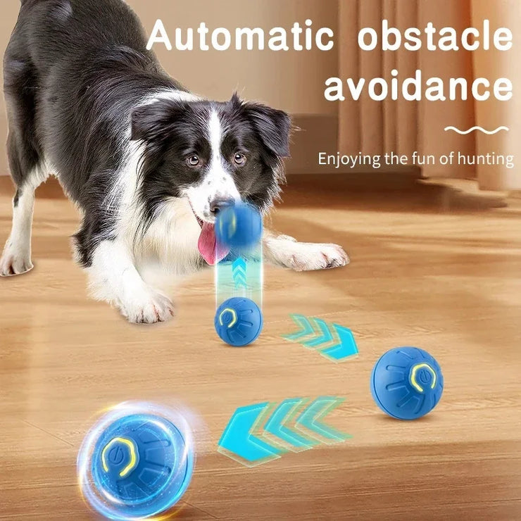 Balle Interactive Électronique pour Chiens et Chats USB