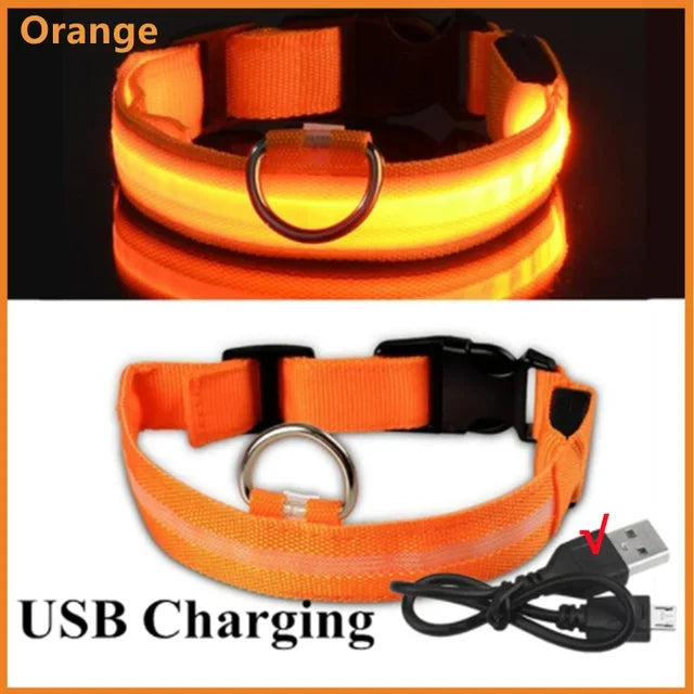 Collier Lumineux LED Chien Réglable Anti-Perte Nuit