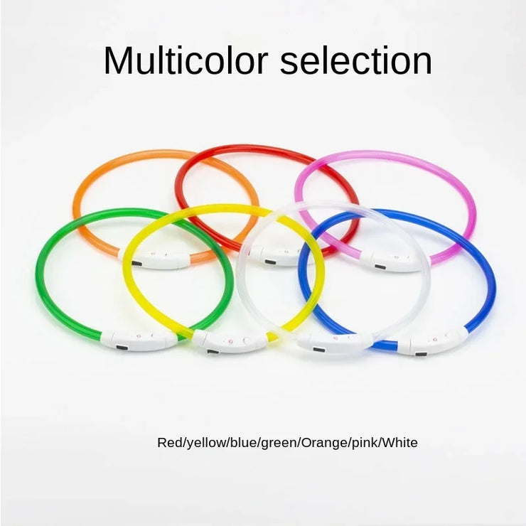 Collier Lumineux Chien LED Rechargeable USB