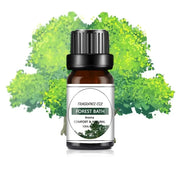 Huile Essentielle Fruits 10ml Naturelle Diffuseur & DIY