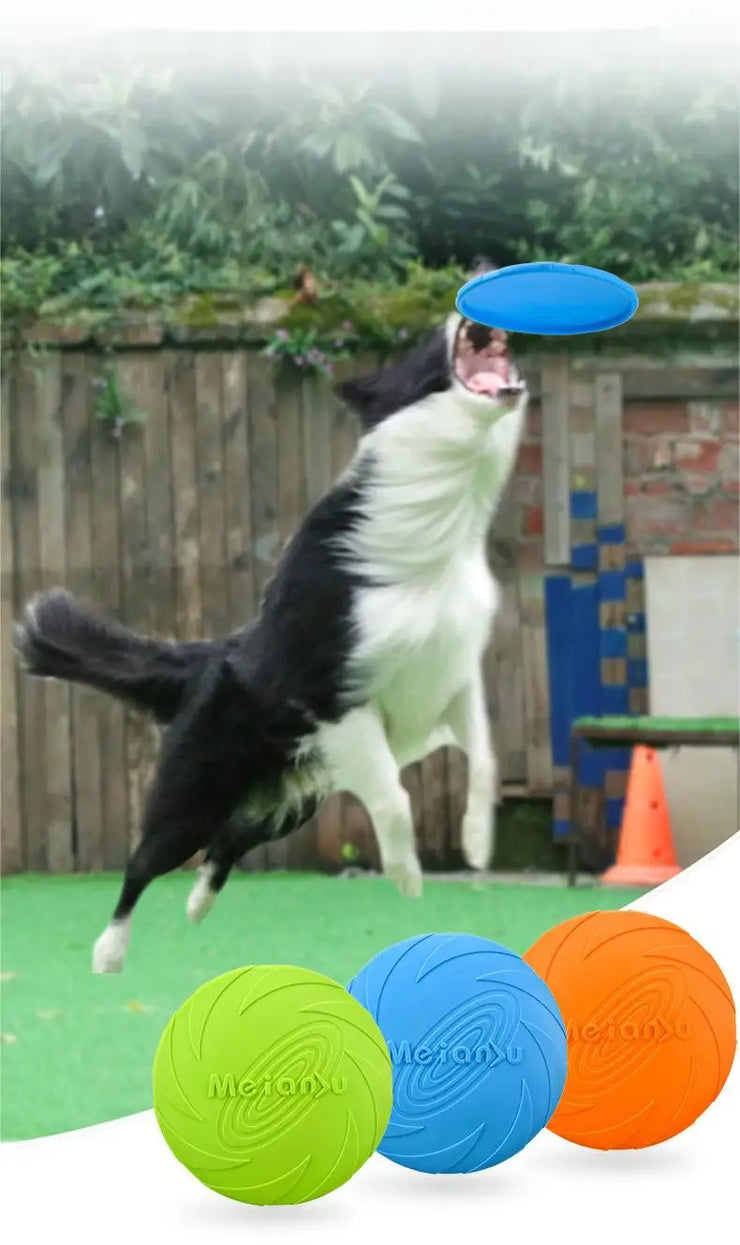 Disque Volant Résistant Chien OUZEY Jouet Interactif