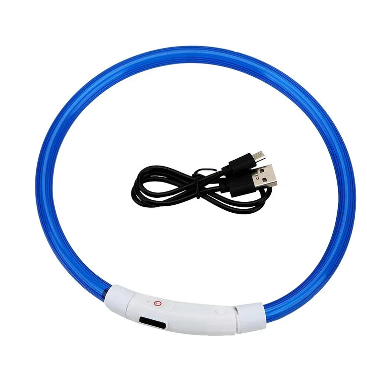 Collier Lumineux Chien LED Rechargeable USB