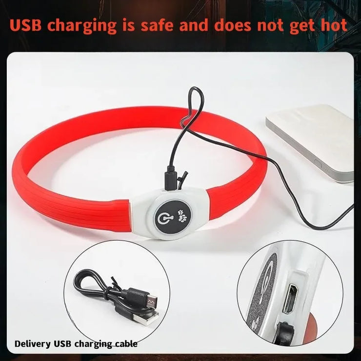Collier LED Chien Étanche USB Lumineux Sécurité Nuit