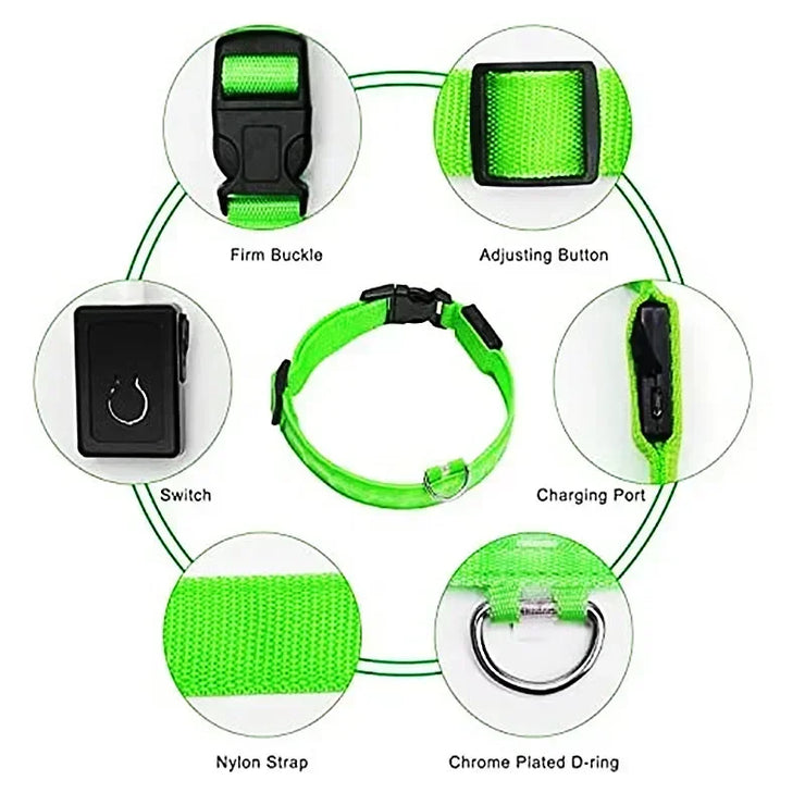 Collier Lumineux LED Chien Réglable Anti-Perte Nuit