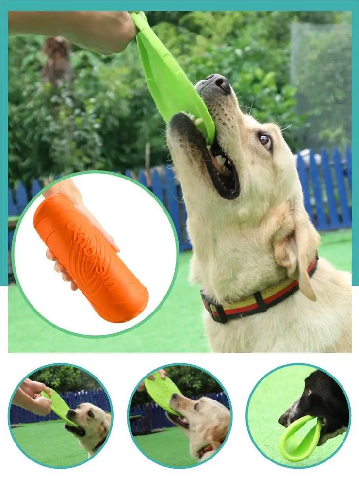 Disque Volant Résistant Chien OUZEY Jouet Interactif