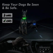 Collier Lumineux LED Chien Réglable Anti-Perte Nuit