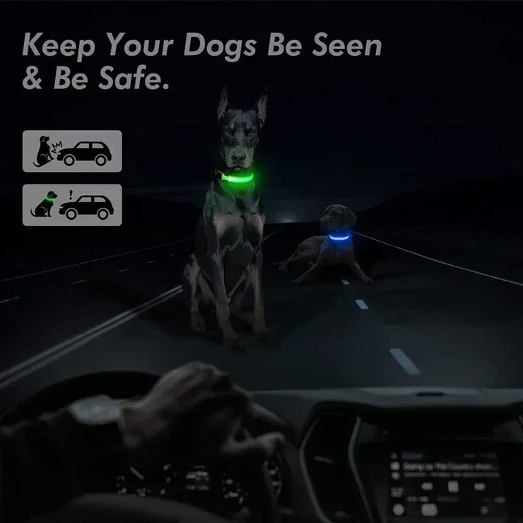 Collier Lumineux LED Chien Réglable Anti-Perte Nuit