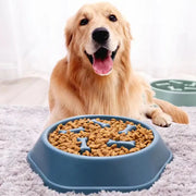 Gamelle Anti-Glouton Chien Antidérapante Slow Feeder