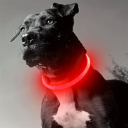 Collier Chien LED Lumineux Anti-Perte Rechargeable USB