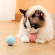 Balle Interactive Électronique pour Chiens et Chats USB