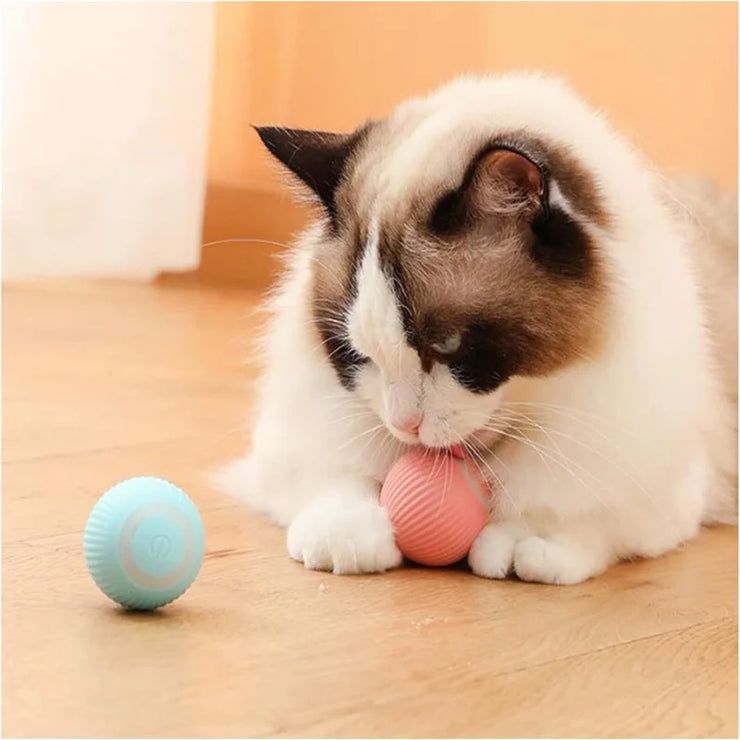 Balle Interactive Électronique pour Chiens et Chats USB