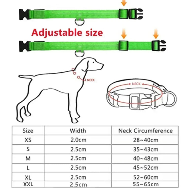 Collier Lumineux LED Chien Réglable Anti-Perte Nuit
