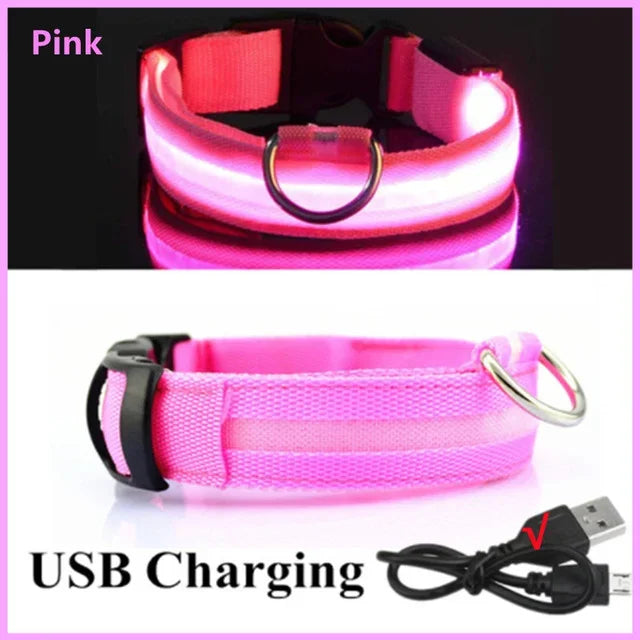 Collier Lumineux LED Chien Réglable Anti-Perte Nuit