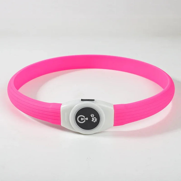 Collier LED Chien Étanche USB Lumineux Sécurité Nuit
