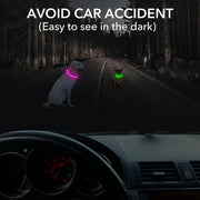 Collier Chien LED Lumineux Anti-Perte Rechargeable USB