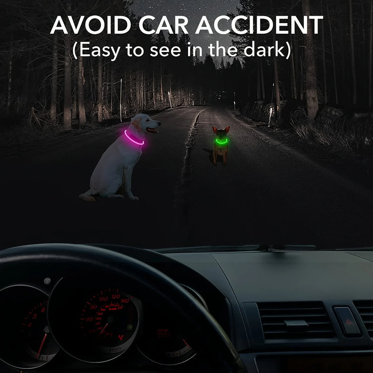Collier Chien LED Lumineux Anti-Perte Rechargeable USB