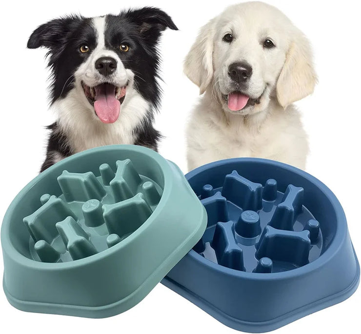 Gamelle Anti-Glouton Chien Antidérapante Slow Feeder