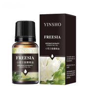 Lot 17 Saveurs Huiles Essentielles 10ml Diffuseur & Humidificateur