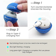 Balle Interactive Électronique pour Chiens et Chats USB