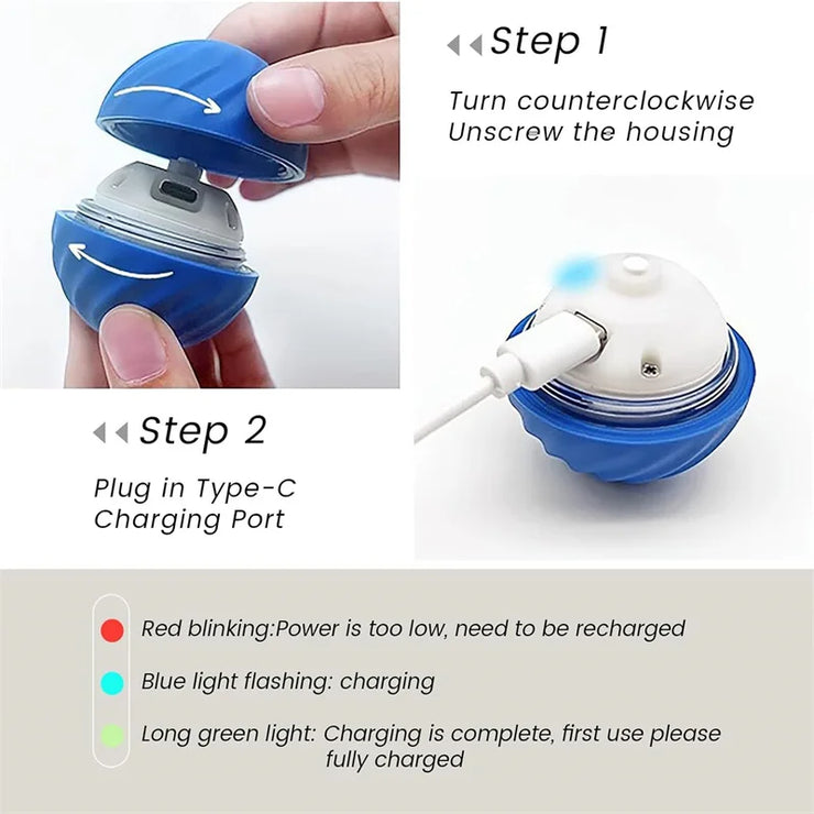 Balle Interactive Électronique pour Chiens et Chats USB
