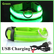 Collier Lumineux LED pour Chien Rechargeable & Ajustable