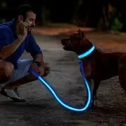 Collier Lumineux LED Chien Réglable Anti-Perte Nuit