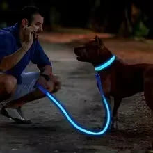 Collier Lumineux LED Chien Réglable Anti-Perte Nuit