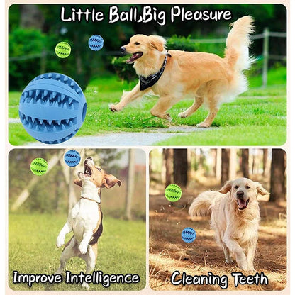 Balles en caoutchouc interactives Puppy Toys Pet Toys Pet Tooth Cleaning Ball Cats Pets Food Treat Feeder Silicon Balls Toy