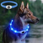 Collier LED Chien Étanche USB Lumineux Sécurité Nuit