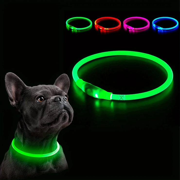 Collier Chien LED Lumineux Anti-Perte Rechargeable USB