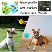Balle Jouet Interactive pour Chien & Chat Caoutchouc à Mâcher