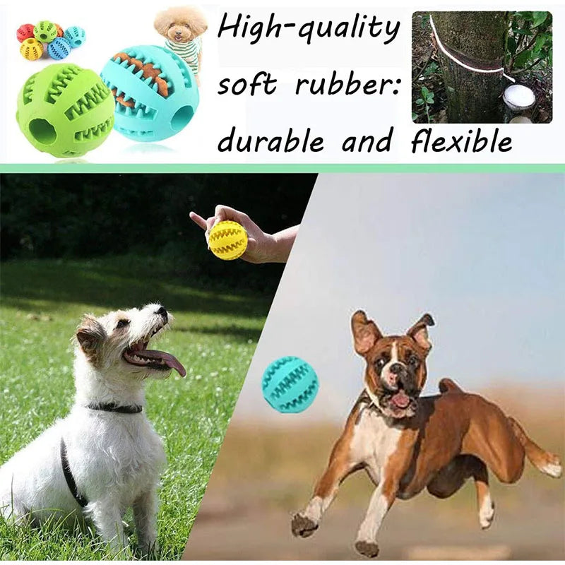 Balles en caoutchouc interactives Puppy Toys Pet Toys Pet Tooth Cleaning Ball Cats Pets Food Treat Feeder Silicon Balls Toy