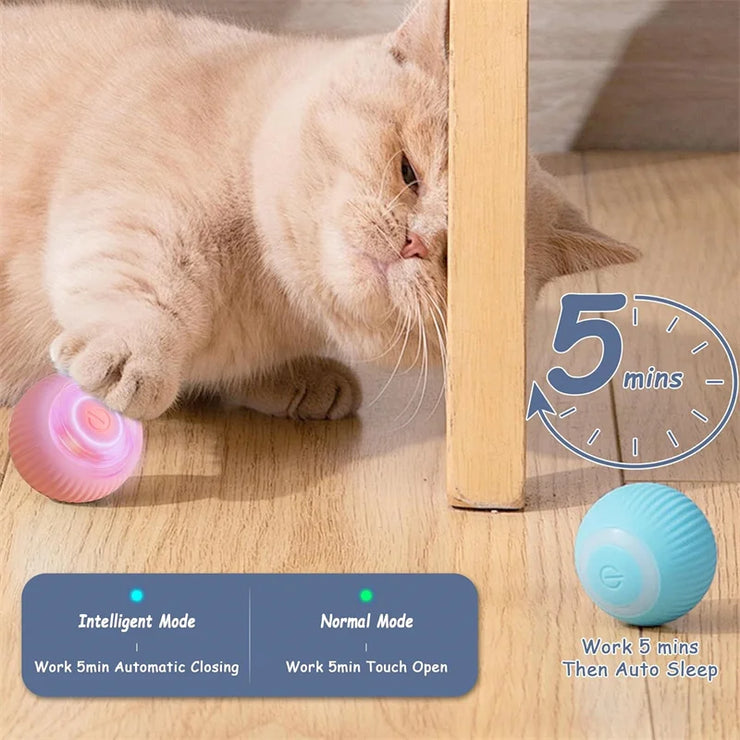 Balle Interactive Électronique pour Chiens et Chats USB