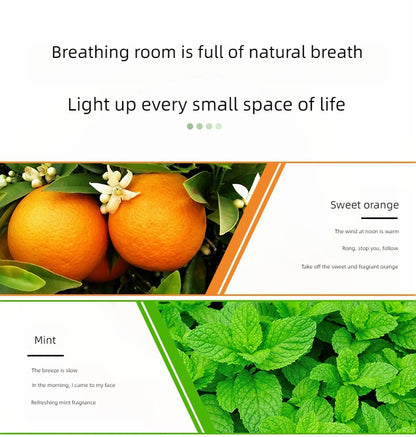 17 Flavors 10ml Essential Oils For Aroma Diffuser AirHumidifier Home Water-soluble Lavender Rose Eucalyptus  White Peach Oolong  17 Saveurs 10ml Huiles essentielles pour diffuseur d'arôme AirHumidifier Home Lavande soluble Rose Eucalyptus White Peach Oolo