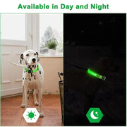 Collier Lumineux LED Chien Réglable Anti-Perte Nuit