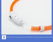 Collier Lumineux Chien LED Rechargeable USB