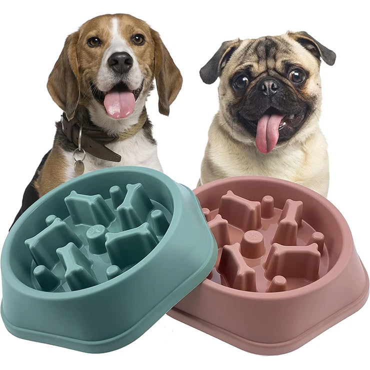 Gamelle Anti-Glouton Chien Antidérapante Slow Feeder